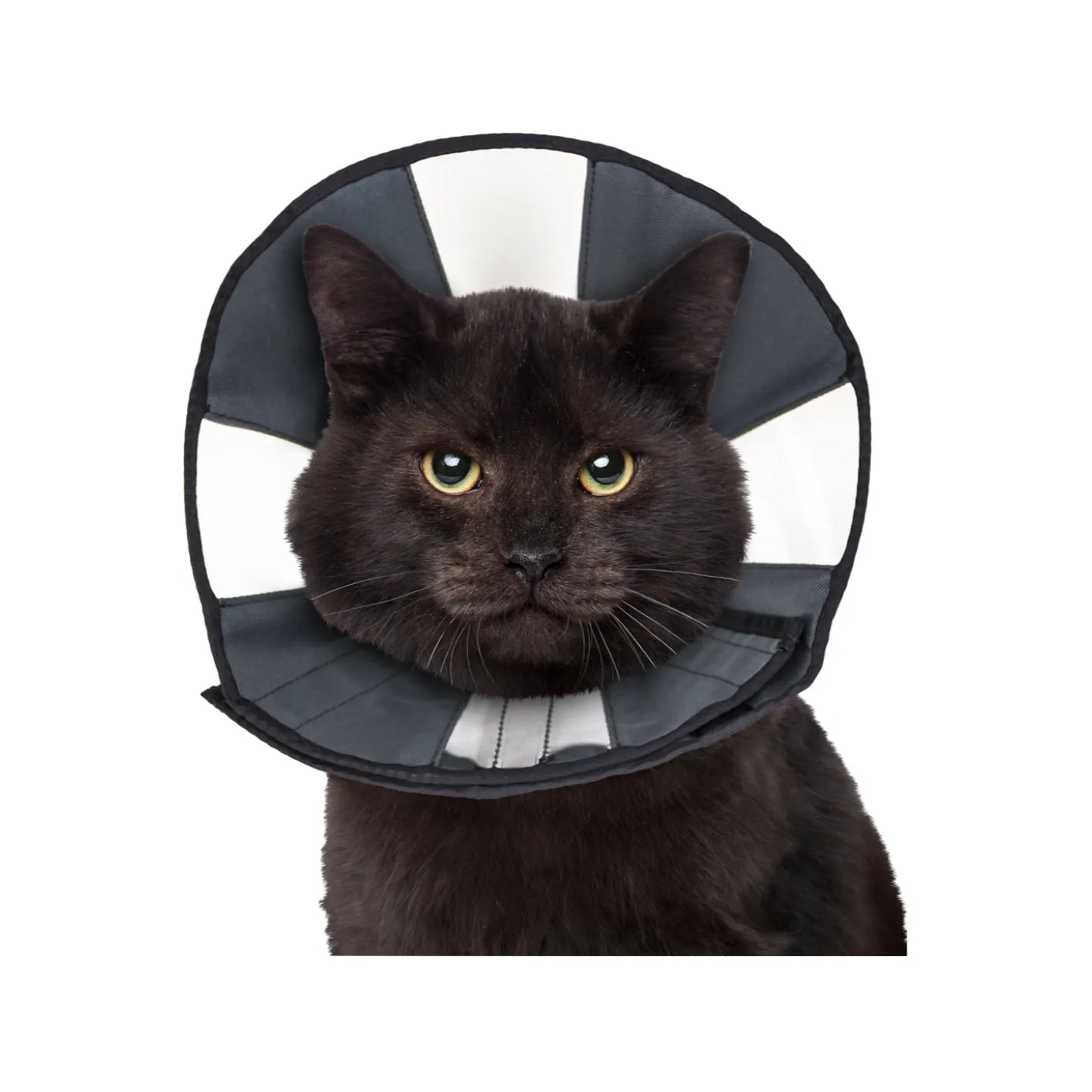 ZenPet ZenCone Soft Recovery Collar